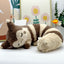 Pokemon Sleeping Soundly Cute Plush Toys