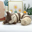 Pokemon Sleeping Soundly Cute Plush Toys