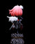 Spy x Family Anya Forger Cos Konan Cute Statue