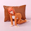 The Quintessential Quintuplets Pajamas Figures