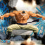 One Piece Skill Scene Figure