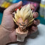 Dragon Ball Z Majin Vegeta Statue(Buy 1 Free 1)