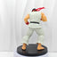 Street Fighter Ryu & Ken Figure