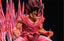 Dragon Ball Z Goku Kaio-ken Statue