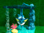 Pokemon Submarine World Figures 6pcs