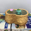 Pokemon Desktop Scenario Cute Figures 8pcs