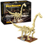 Linoos Jurassic Dinosaur Museum Diplodocus Fossil Building Blocks LN7007