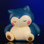 Pokemon Sleeping Cute Pokemon Figures