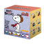 Linoos Peanuts Snoopy Anniversary Surprise Box