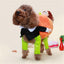 Dog Pumpkin Halloween Costume